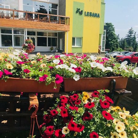 Hotel Lesana Stará Lesná Esterno foto